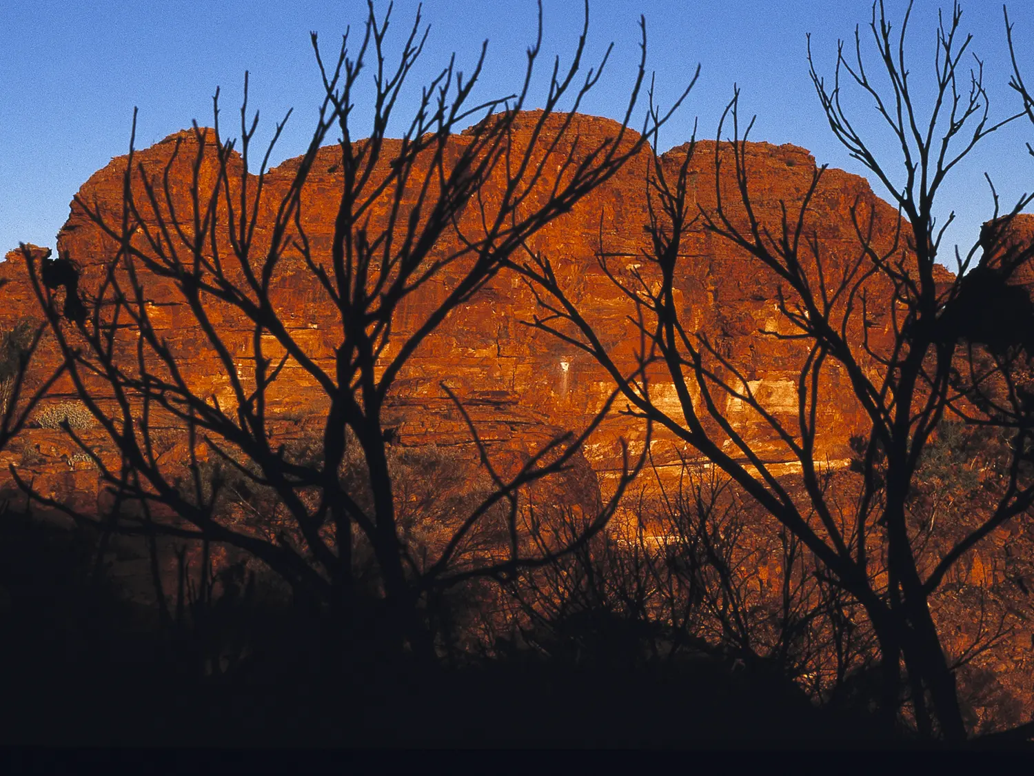 australia_004.webp